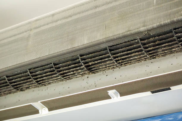 Best Air Duct Cleaning Near Me  in Sylacauga, AL
